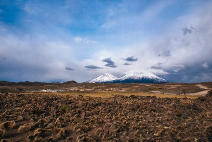 BarfussUmDieWelt-Polare-Schritt-Chile-Parinacotta-Vulkankette-Alpaka-barfuß